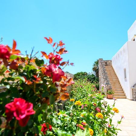 Villa Andromeda Αμοργός Εξωτερικό φωτογραφία